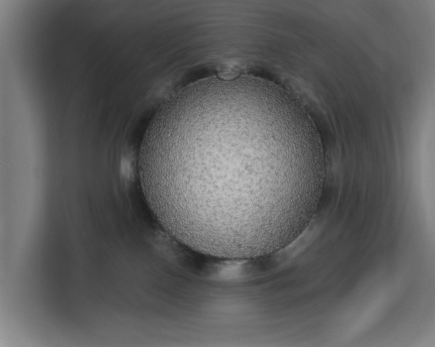 X0000112910090200908311246