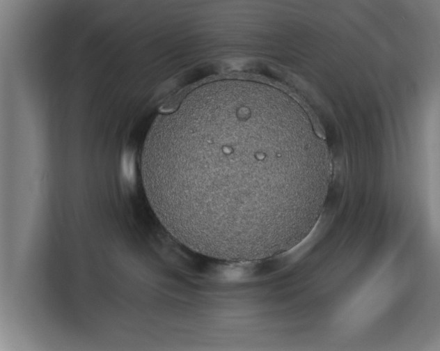 X0000112910094200908311246