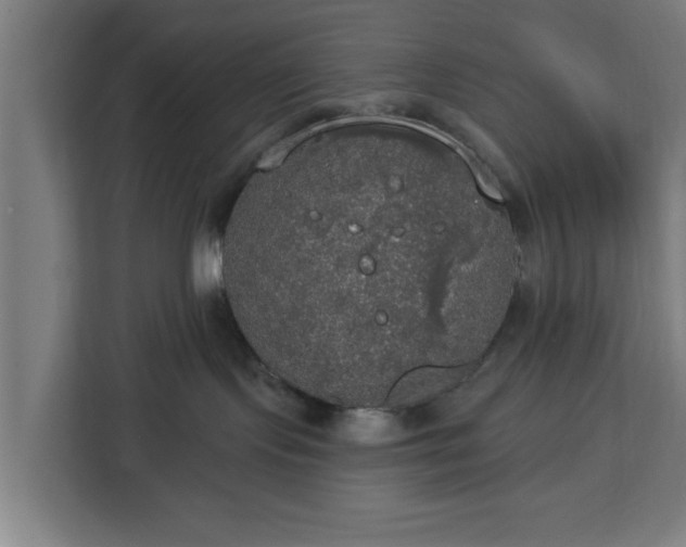 X0000112910095200908311246