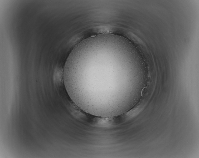 X0000112910096200908311246