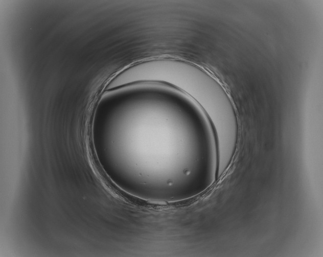 X0000112910097200908311245