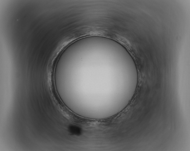 X0000112910098200908311245