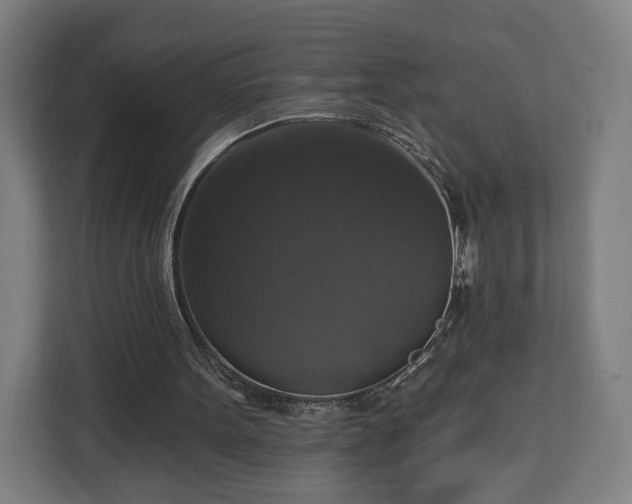 X0000112910099200908311245