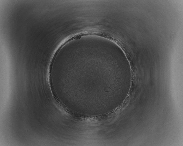 X0000112910100200908311245