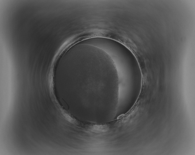 X0000112910101200908311245