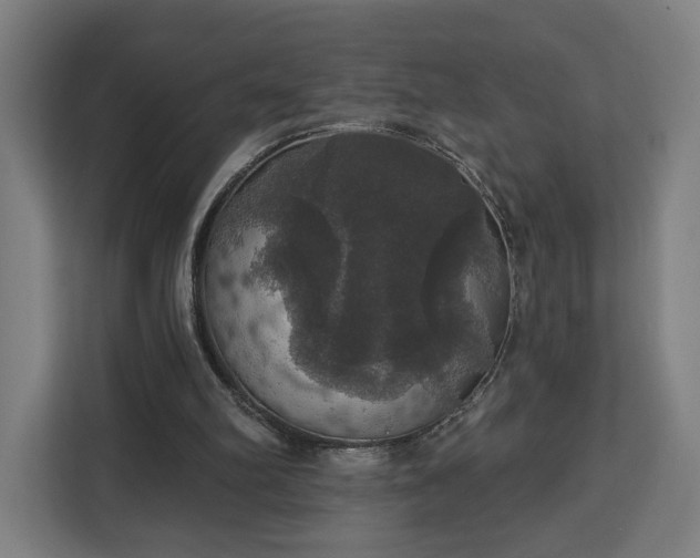 X0000112910102200908311245