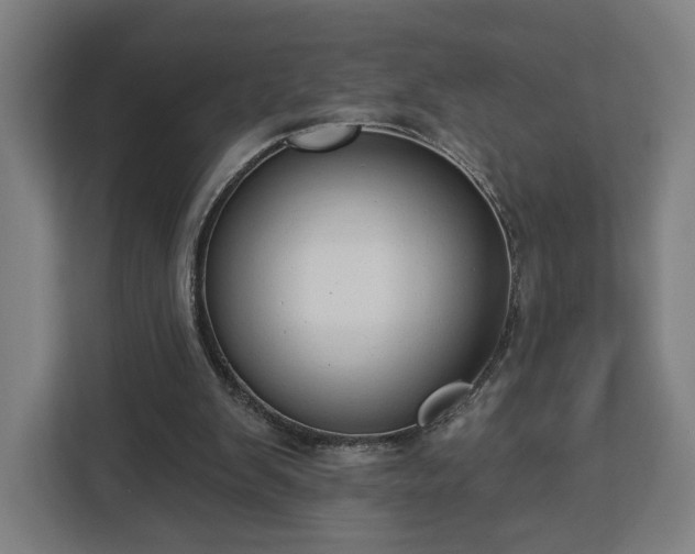 X0000112910103200908311245