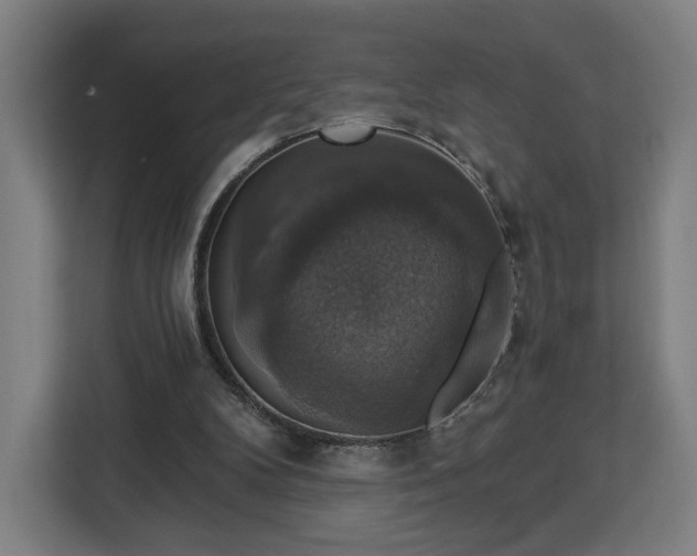 X0000112910104200908311245