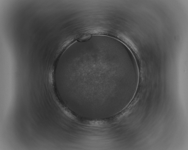 X0000112910105200908311245