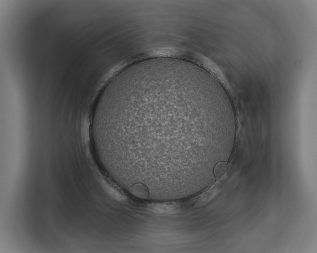 X0000112910106200908311245