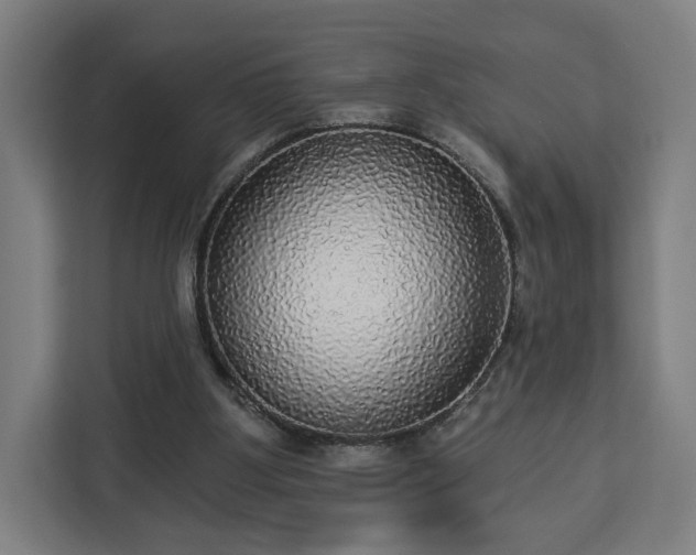 X0000112910107200908311245