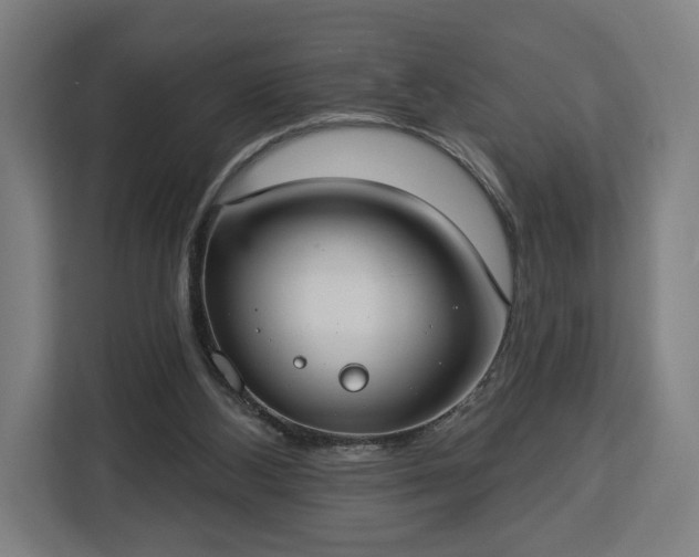 X0000112910108200908311245