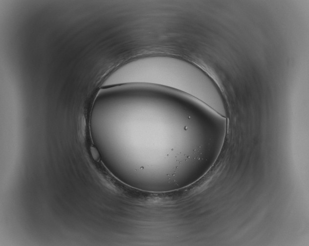 X0000112910109200908311245