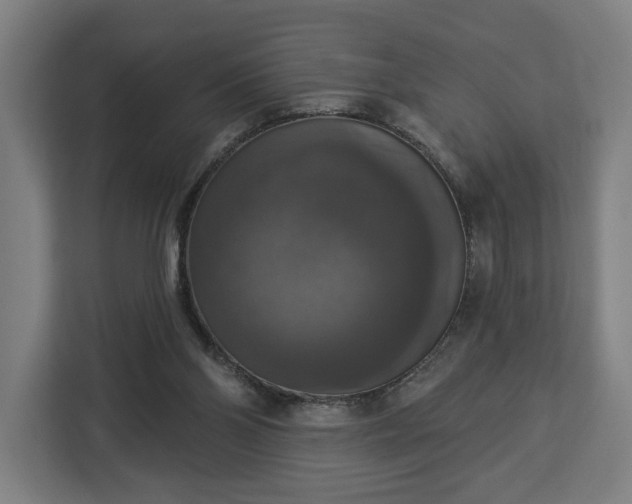 X0000112910110200908311245