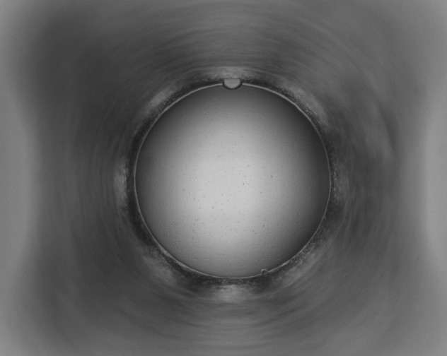 X0000112910111200908311245