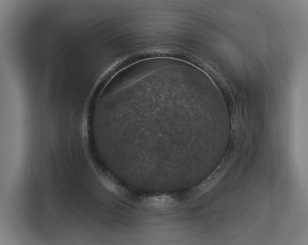 X0000112910112200908311245