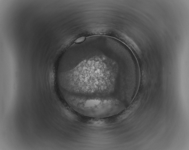 X0000112910113200908311245