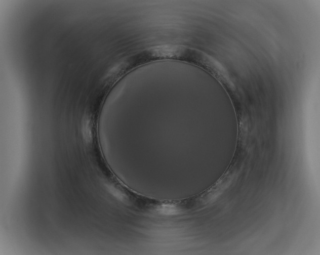 X0000112910114200908311245