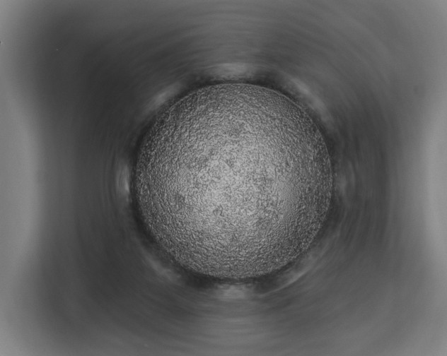 X0000112910115200908311245