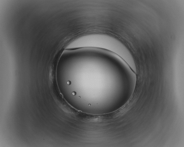 X0000112910116200908311245