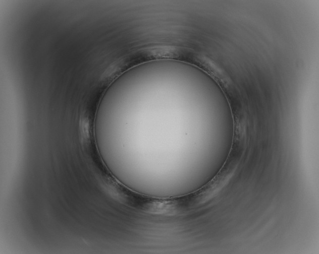 X0000112910117200908311245