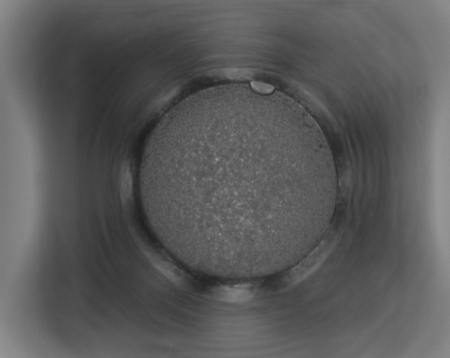 X0000112910120200908311245