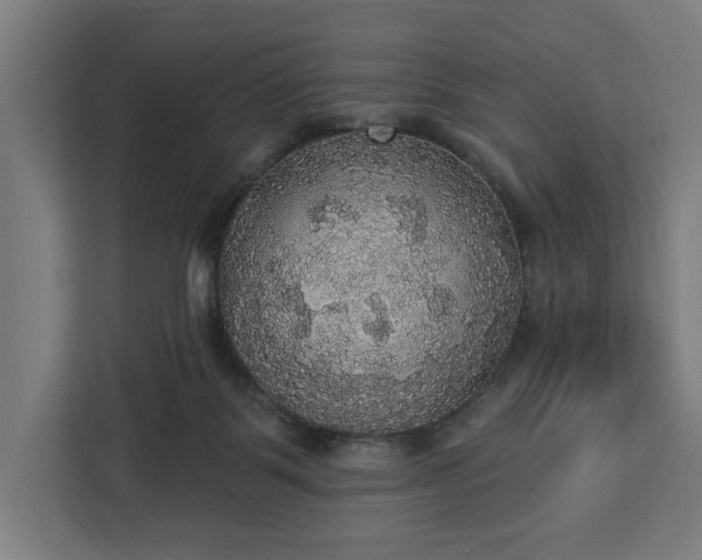 X0000112910123200908311245