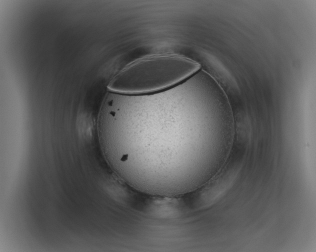 X0000112910125200908311245