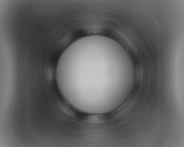 X0000112910126200908311245