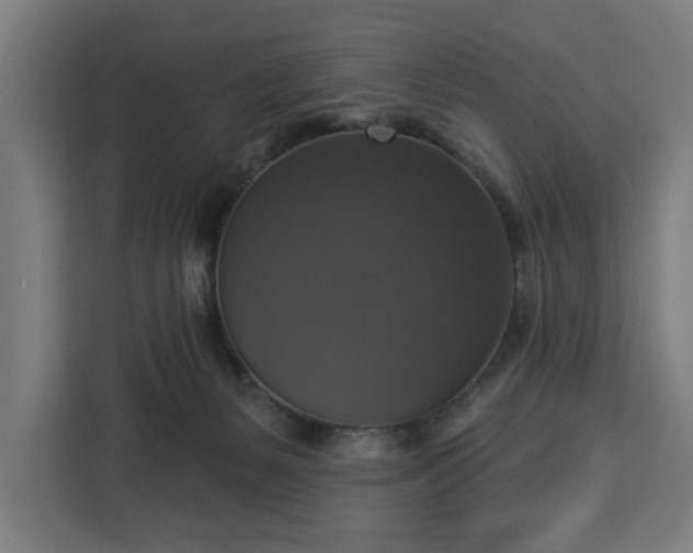 X0000112910127200908311245