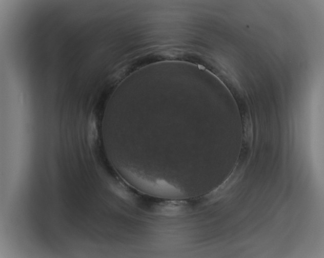 X0000112910128200908311245