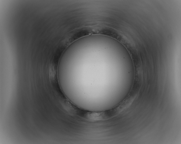 X0000112910129200908311245