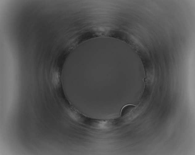 X0000112910130200908311245