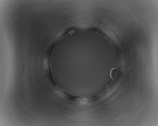 X0000112910131200908311245