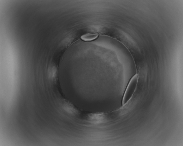 X0000112910132200908311245