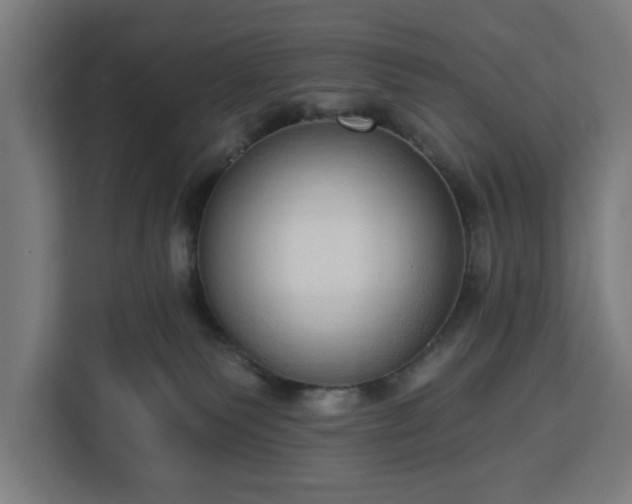 X0000112910135200908311245