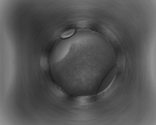 X0000112910136200908311245