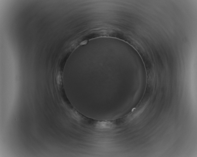 X0000112910137200908311245