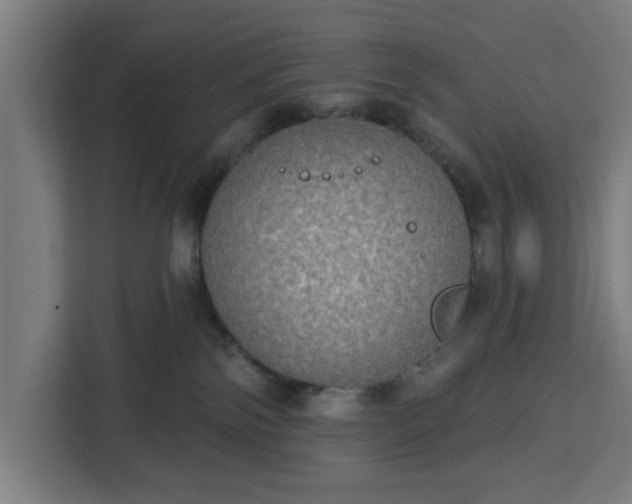 X0000112910138200908311245