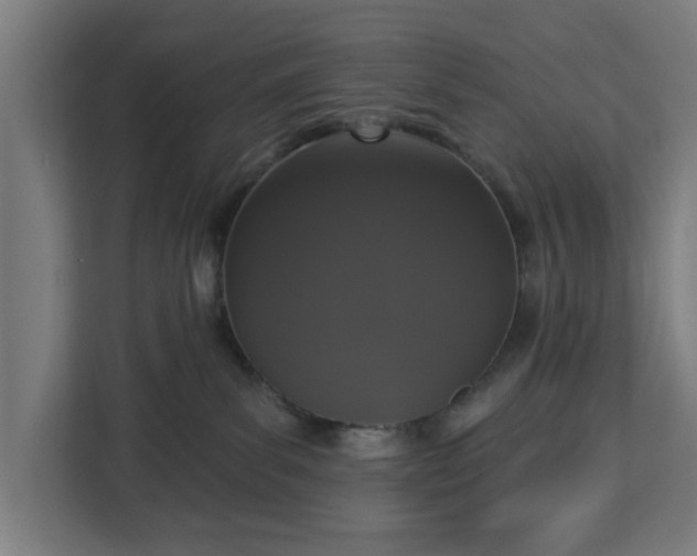 X0000112910139200908311245