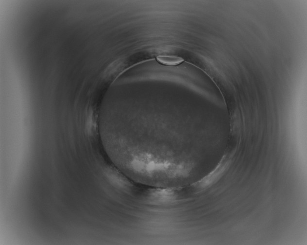 X0000112910140200908311244