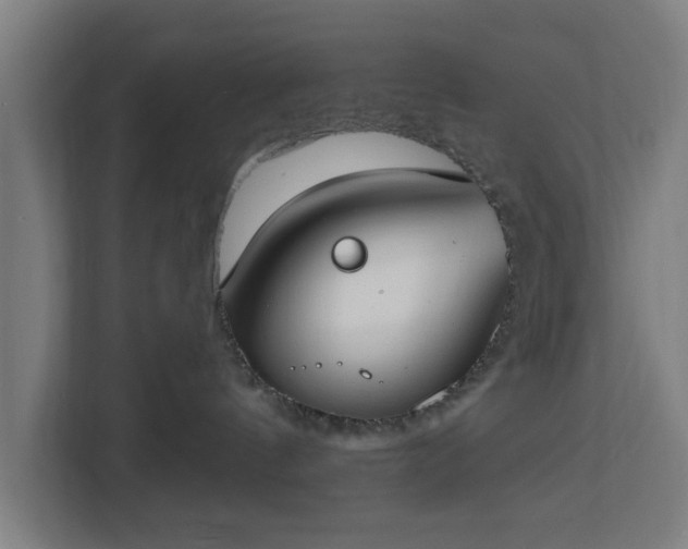 X0000112910144200908311244