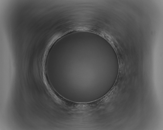 X0000112910145200908311244