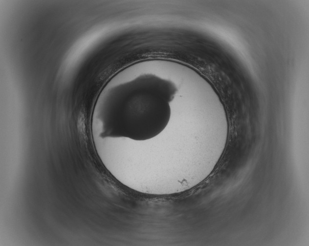 X0000112910146200908311244