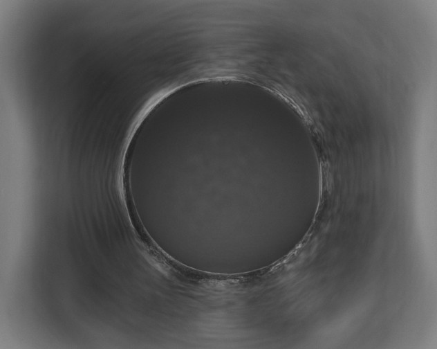 X0000112910147200908311244