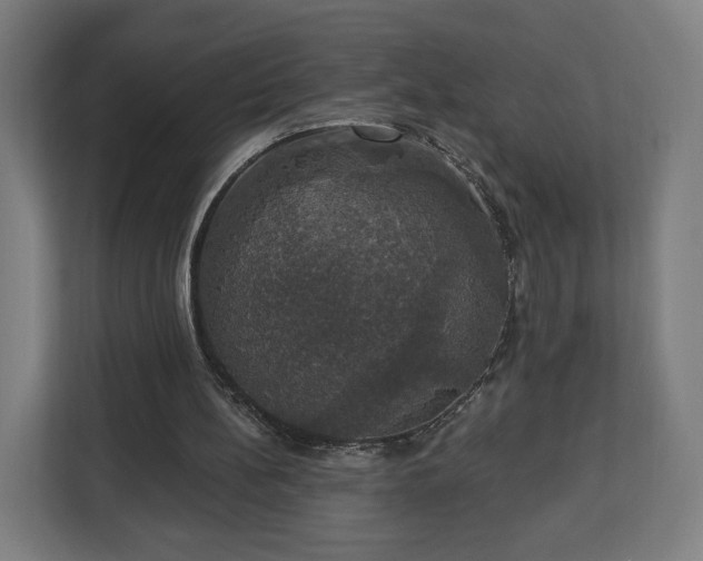 X0000112910148200908311244