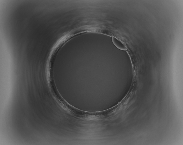 X0000112910149200908311244