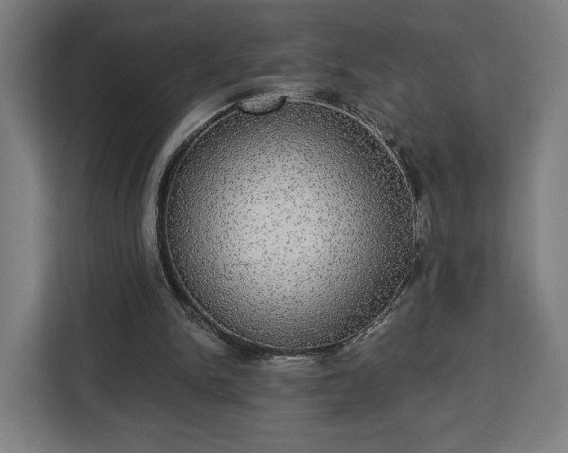 X0000112910150200908311244