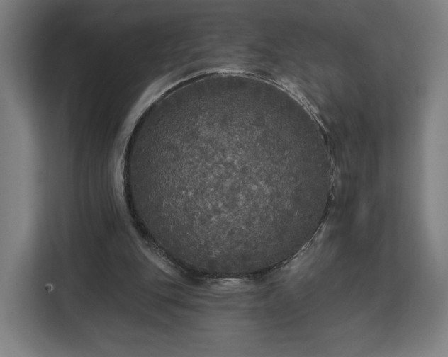 X0000112910151200908311244