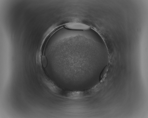 X0000112910152200908311244